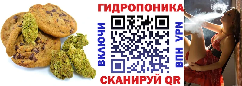 Canna-Cookies конопля Дегтярск