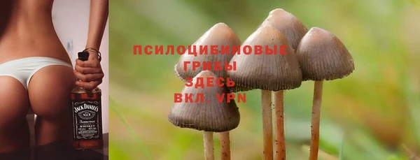 МДПВ Алексеевка