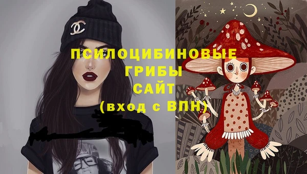 спайс Арсеньев