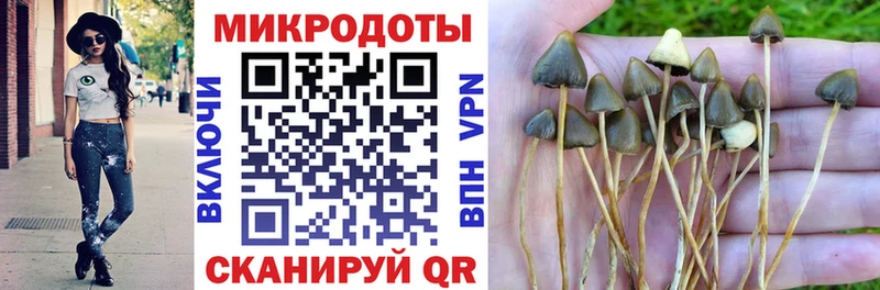 Псилоцибиновые грибы MAGIC MUSHROOMS  Дегтярск 